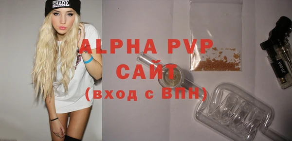 дживик Няндома