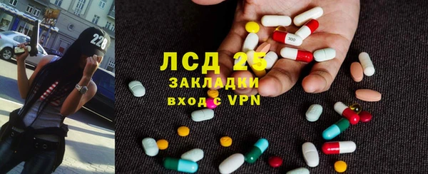 дживик Новозыбков