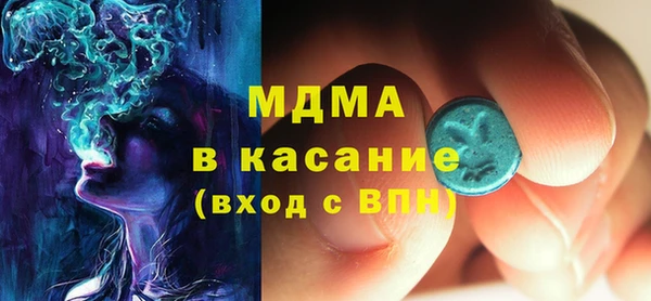 дживик Няндома