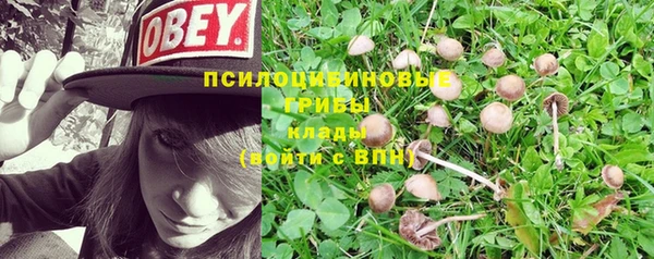 ECSTASY Новодвинск